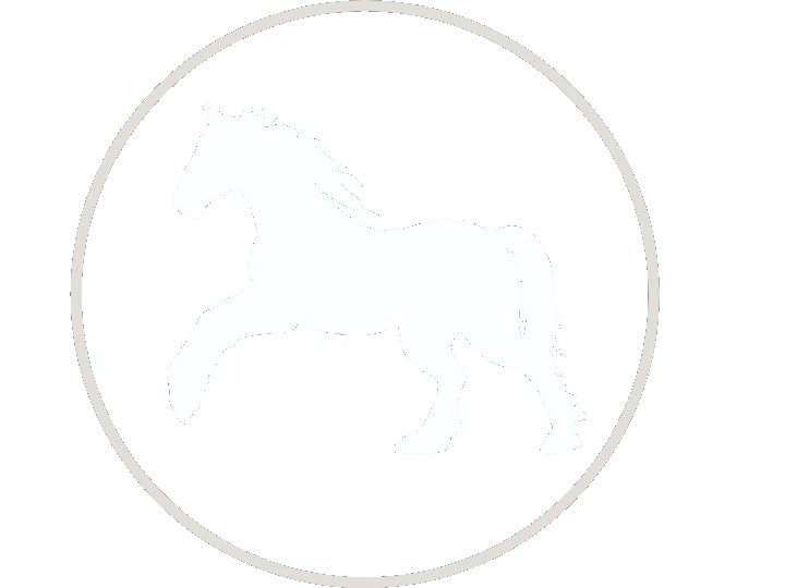 Meadowlark Ranch Horse