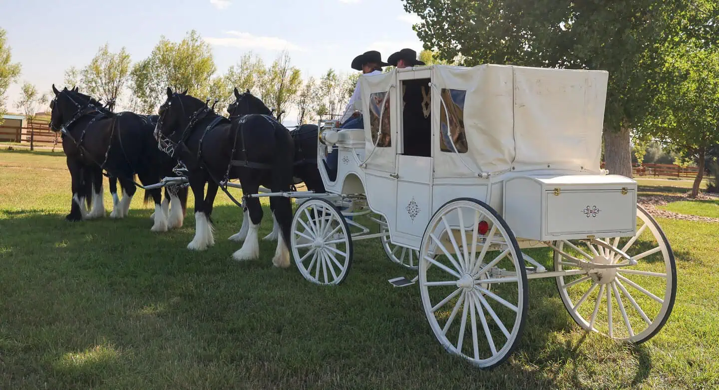 Meadowlark Ranch healing programs