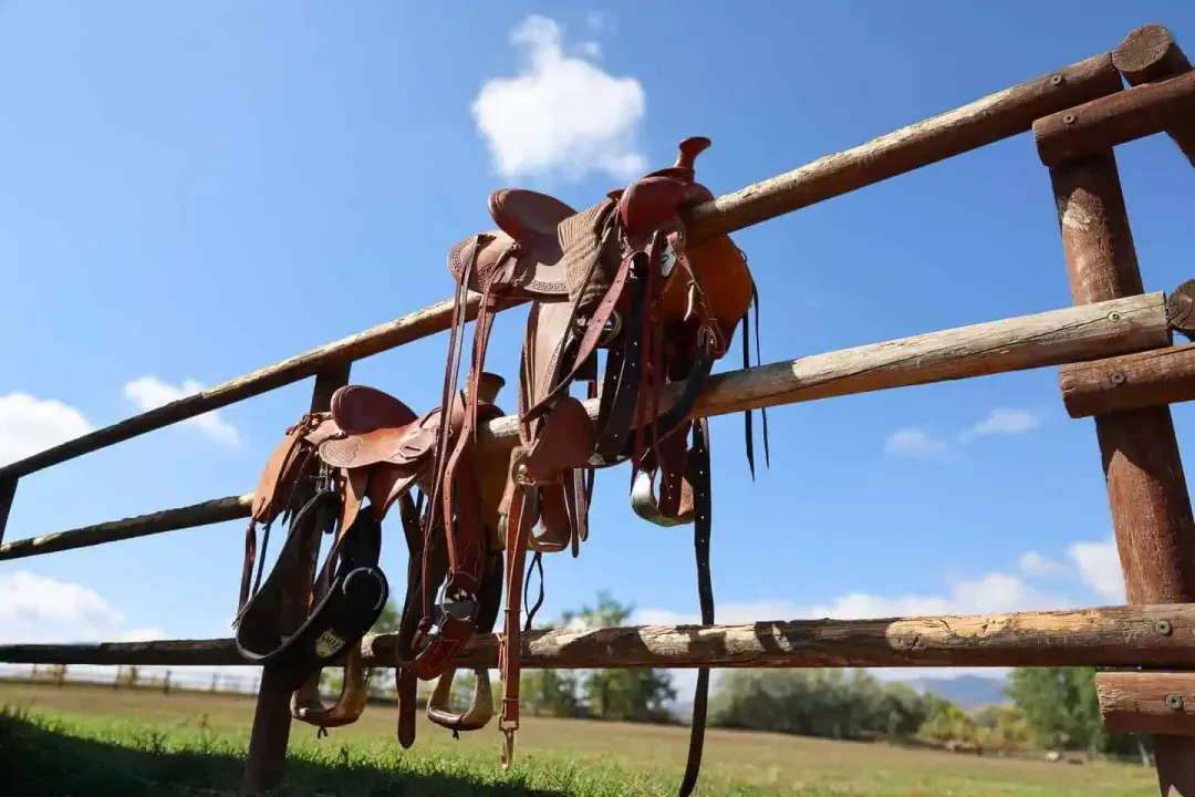 Saddles on fence